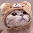 由产品爱好者发现         moodistory 帮你追踪情绪,分析情绪给你