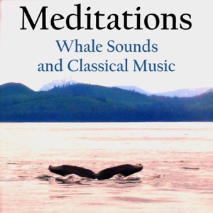 Mergeek 发现好产品 Meditations - Whales and Music