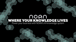 NOAN - the AI business partner for entrepreneurs