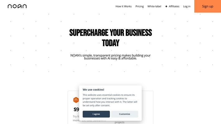 NOAN - the AI business partner for entrepreneurs