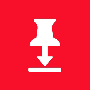 PinSaver -下载Pin视频 - 轻松保存和整理您喜爱的 Pinterest 内容！